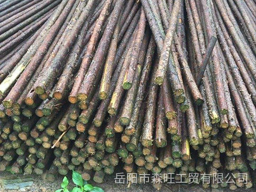 园林撑杆2