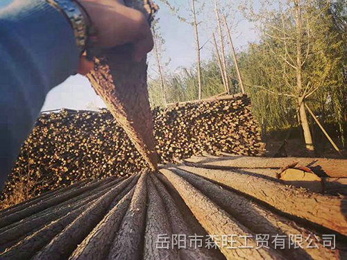 园林撑杆3